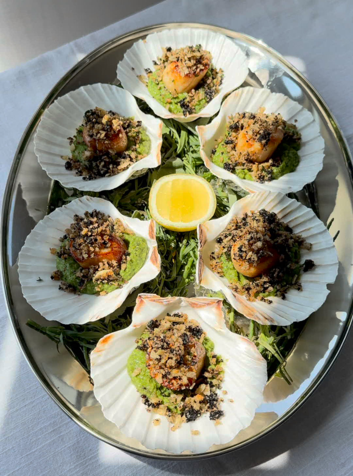 Hand Dived Scallop Shells