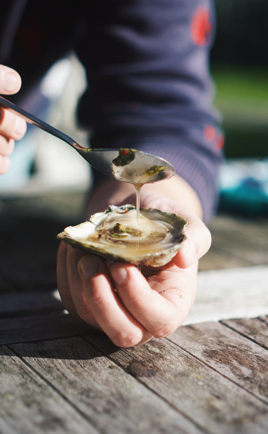 LIVE Atlantic Edge Native Oysters