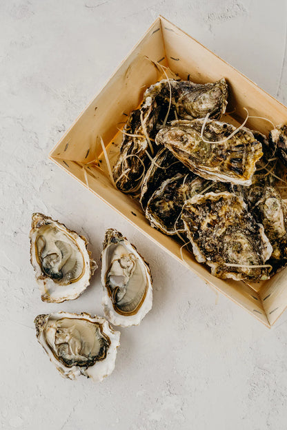 LIVE Atlantic Edge Rock Oysters