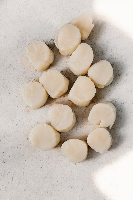 ❄️ Hand-Dived Scallops | 1 Dozen | Serves 2-3